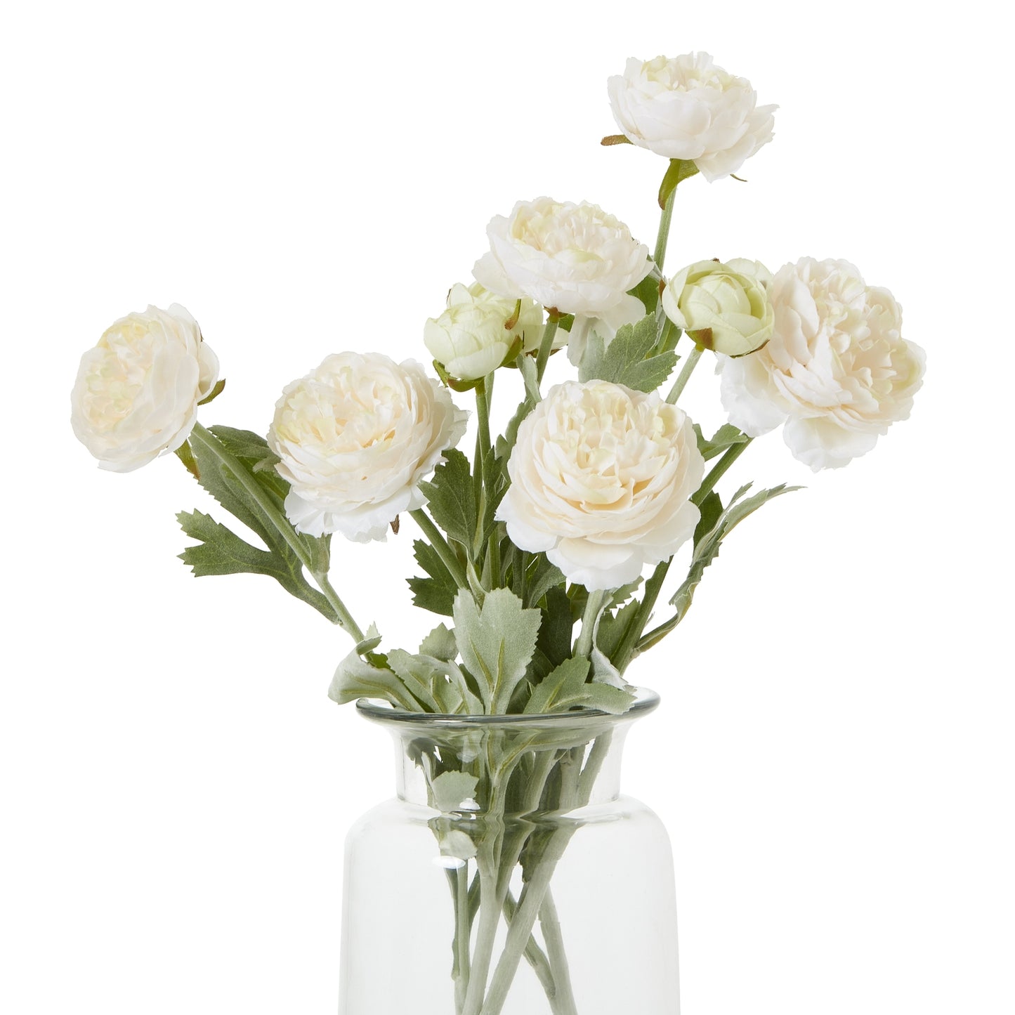 The Natural Garden Collection Apricot Ranunculus image 0