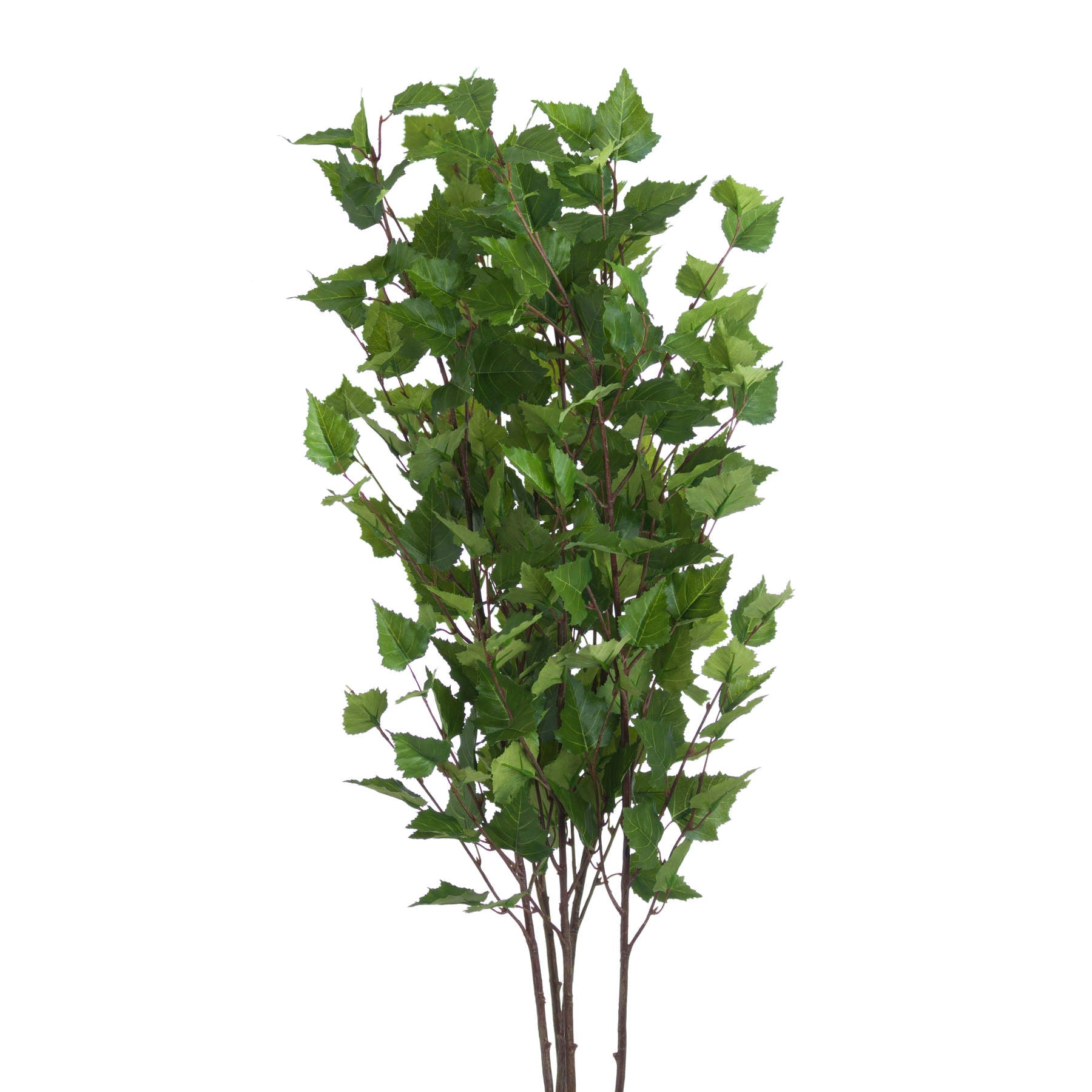 Green Branch Spray image 2