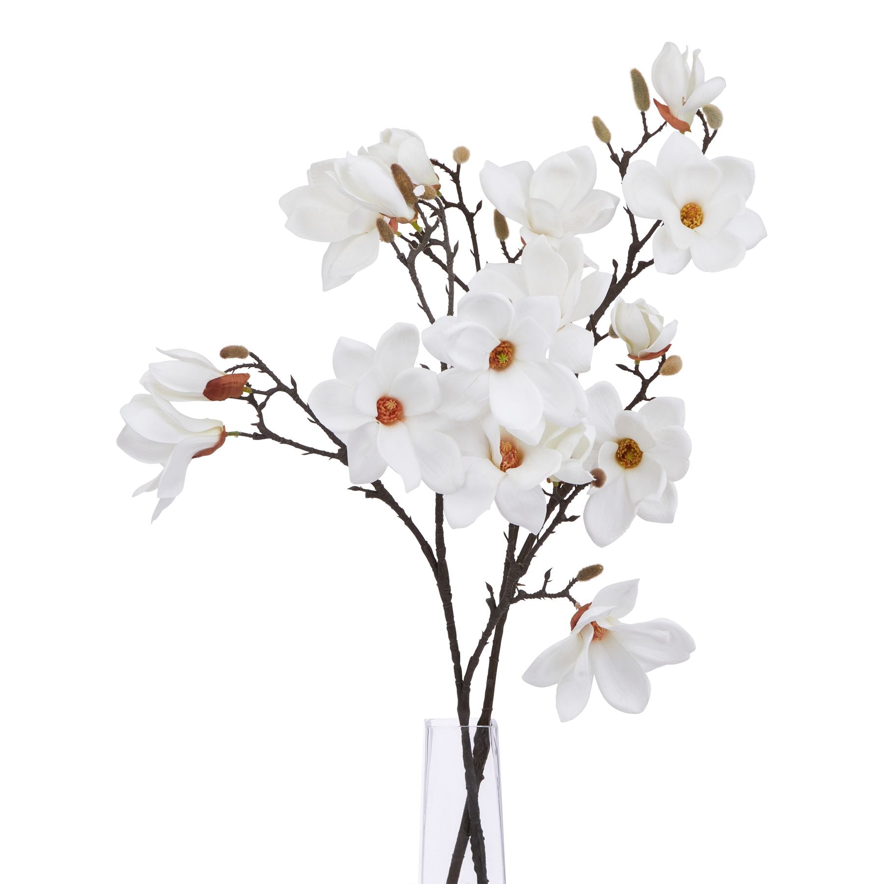 The Natural Garden Collection White Magnolia Stem image 2