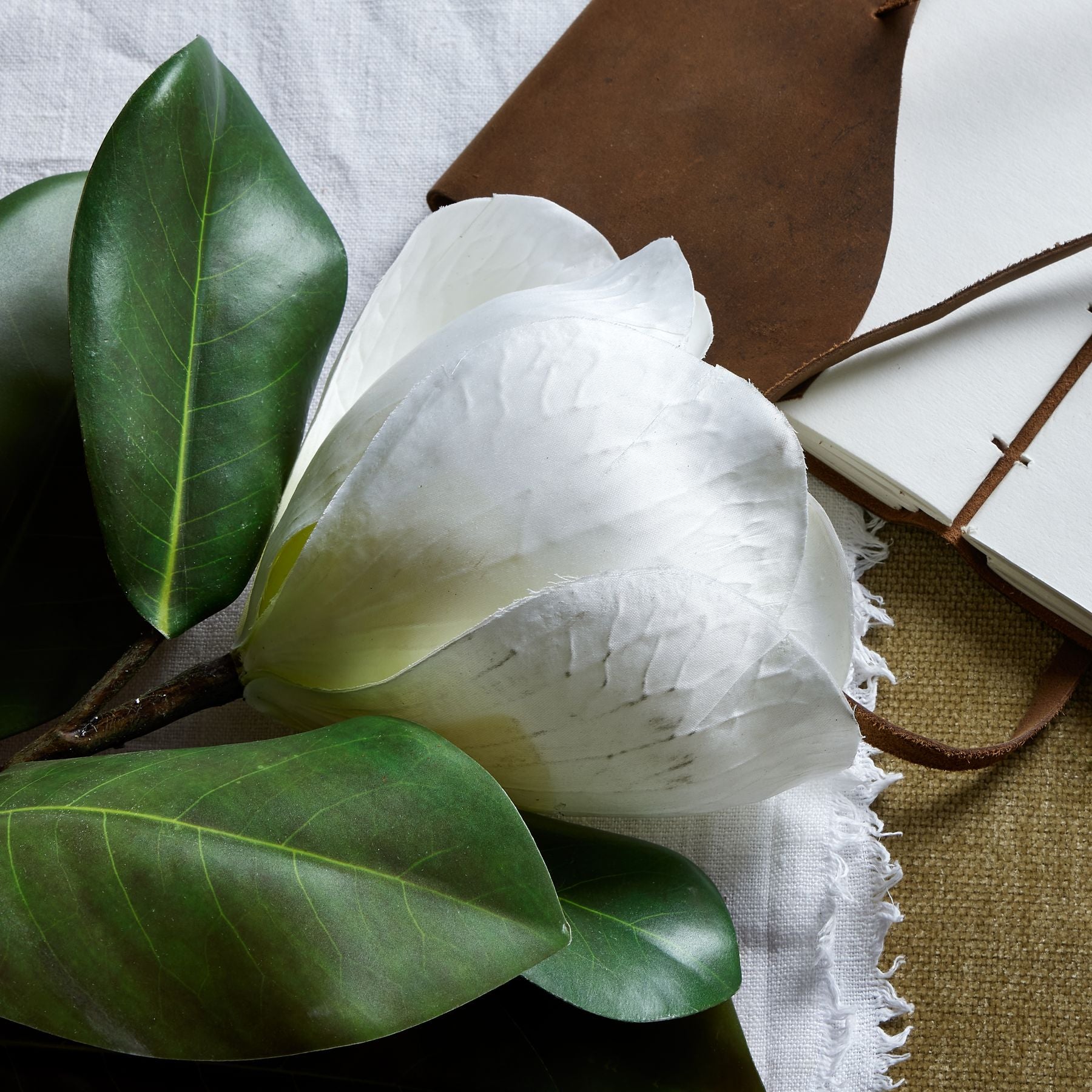White Magnolia Stem image 1