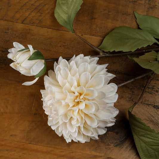 White Dahlia Stem image 0