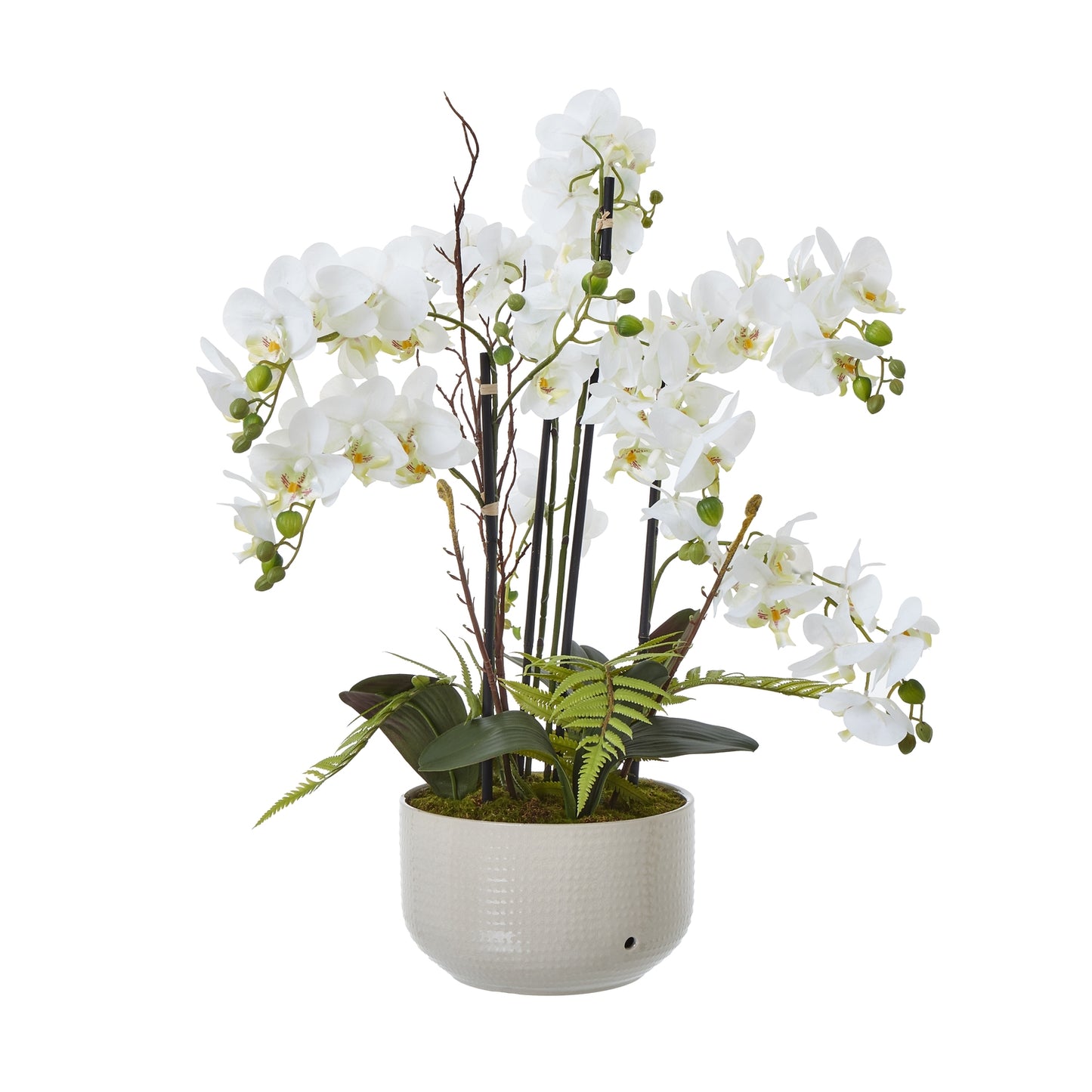 Large White Orchid In Ceramic Pot image 0
