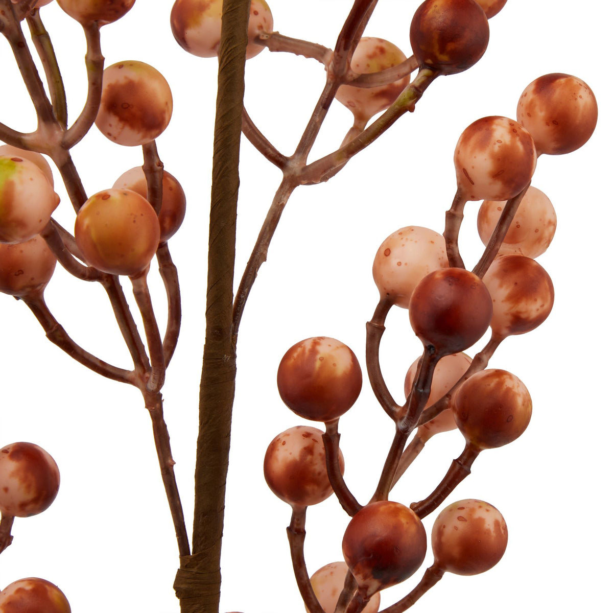 Artificial berry branch with brown berries on a white background