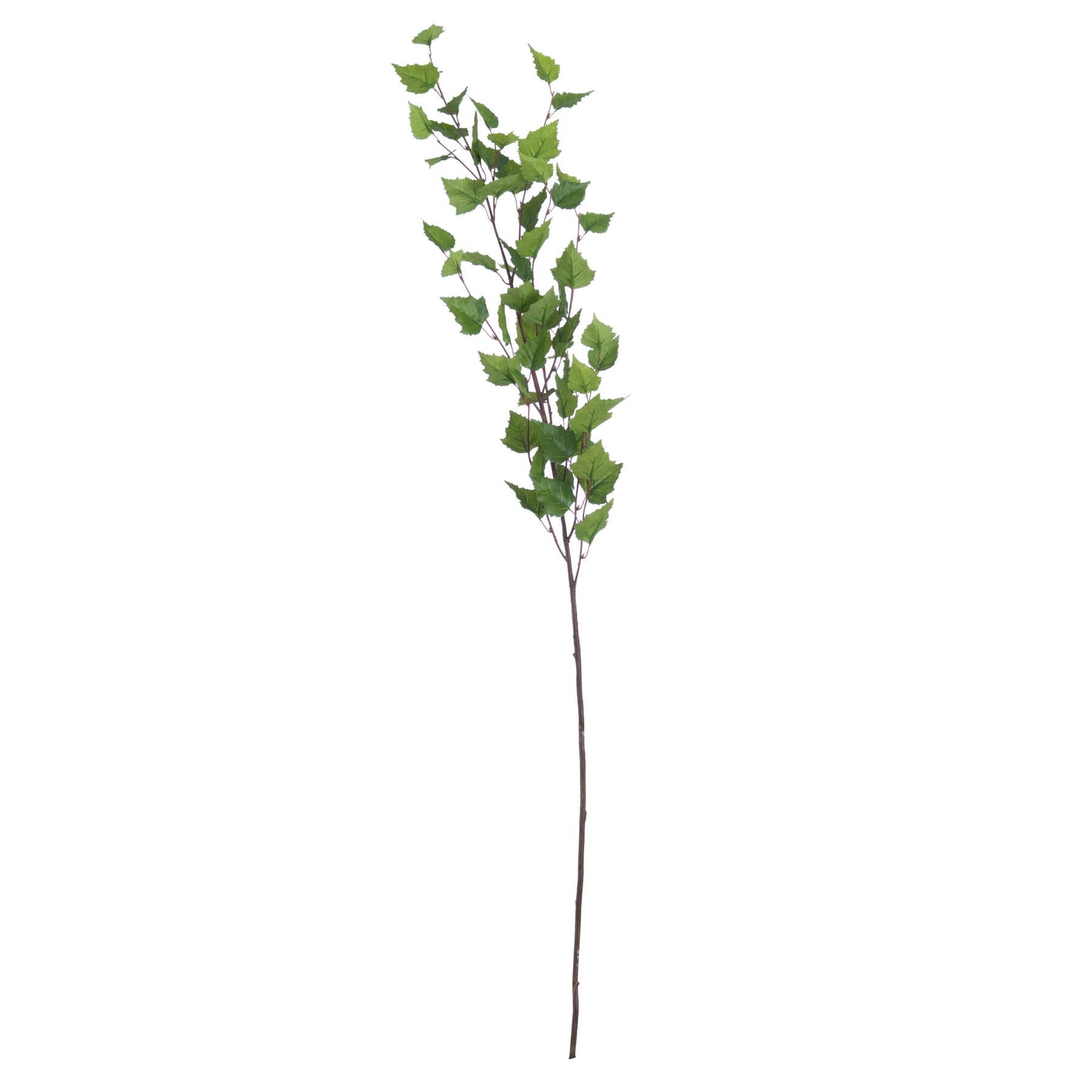 Green Branch Spray image 3