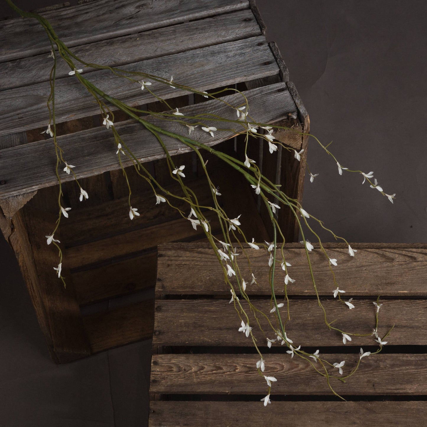 White Willow Spray image 1
