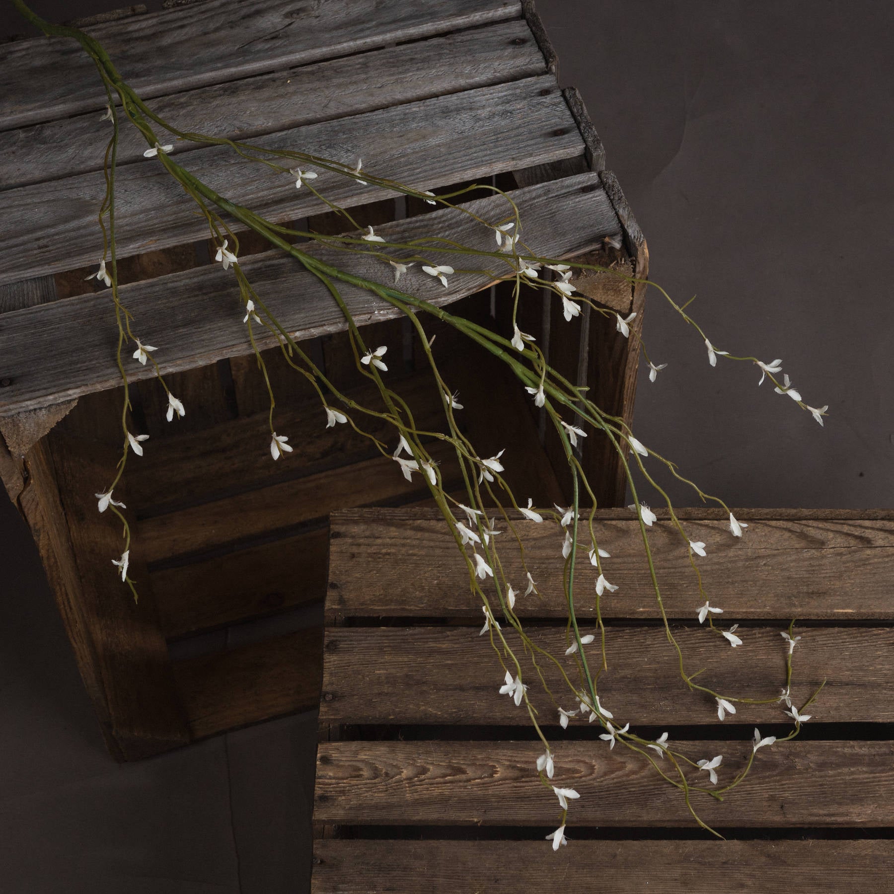 White Willow Spray image 1