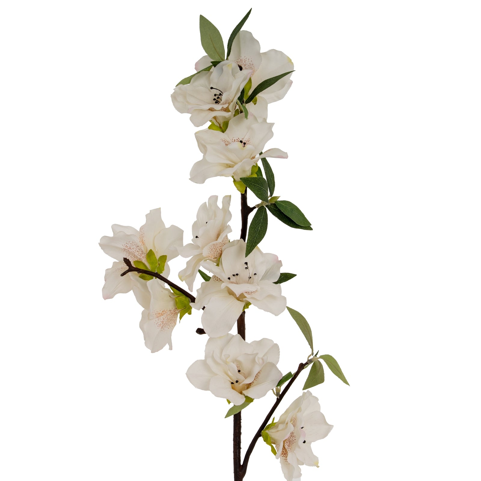 White Bloom Large Spray image 0
