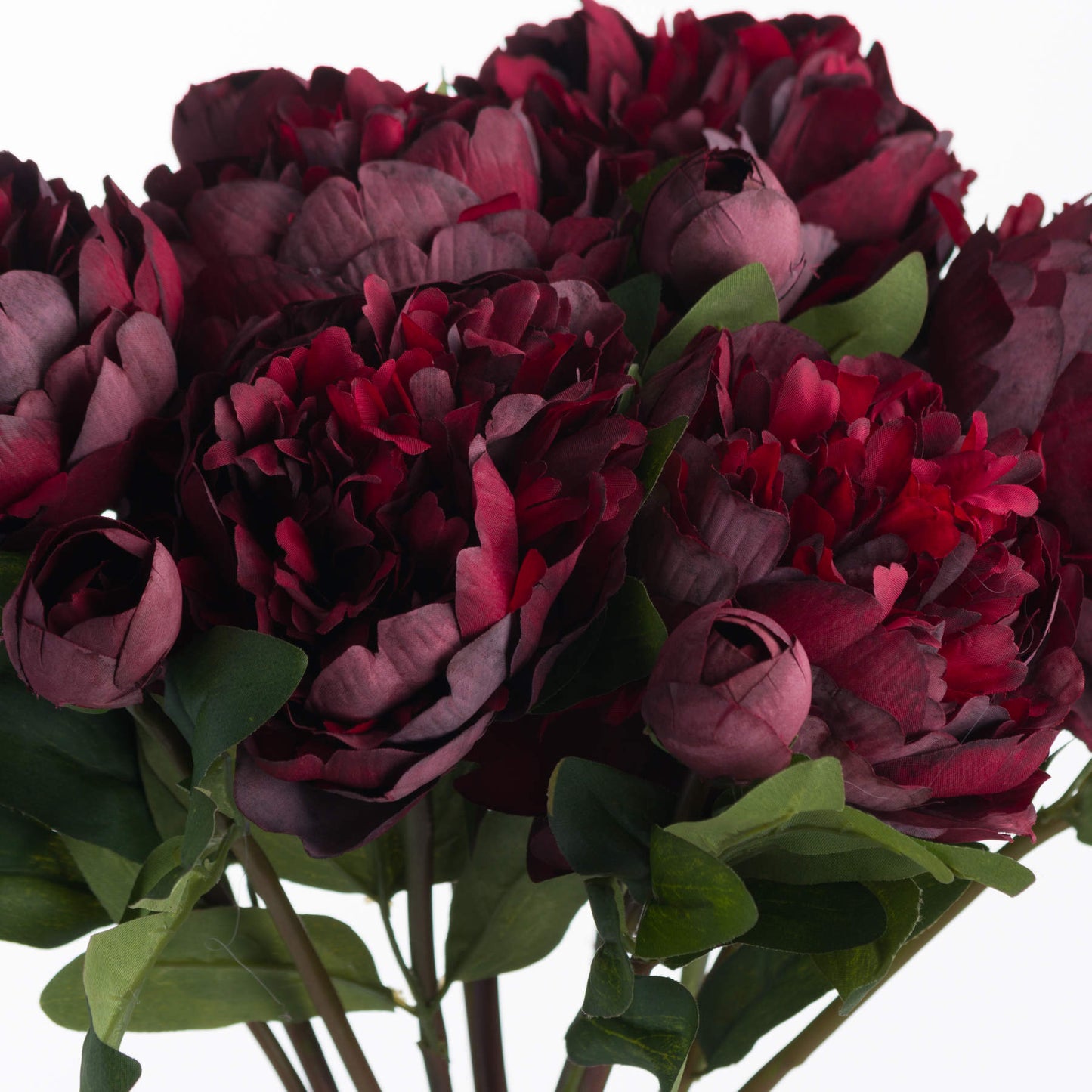Bouquet of dark red and purple flowers with green leaves on a white background