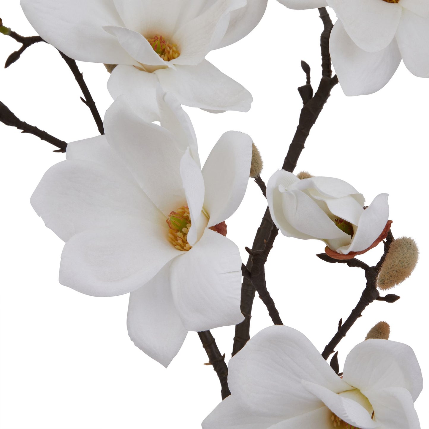 The Natural Garden Collection White Magnolia Stem image 1