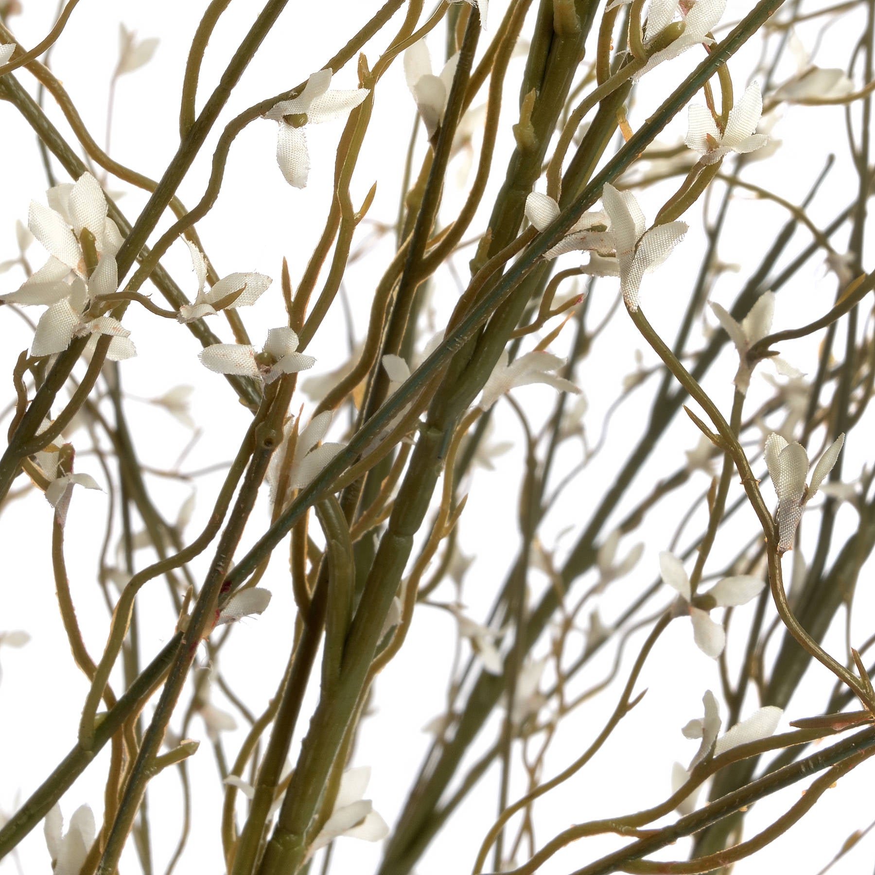 White Willow Spray image 4