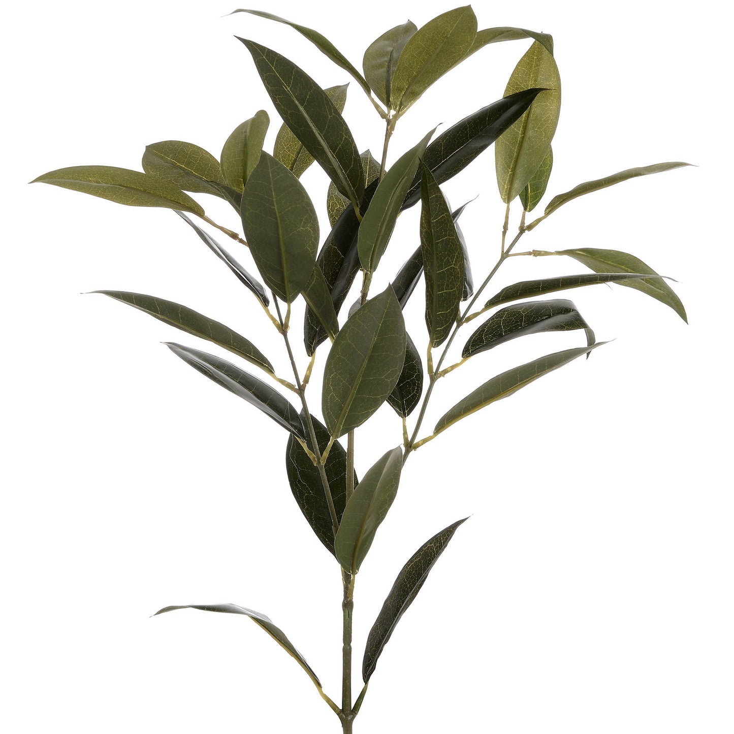 Faux Bay Leaf Spray image 3