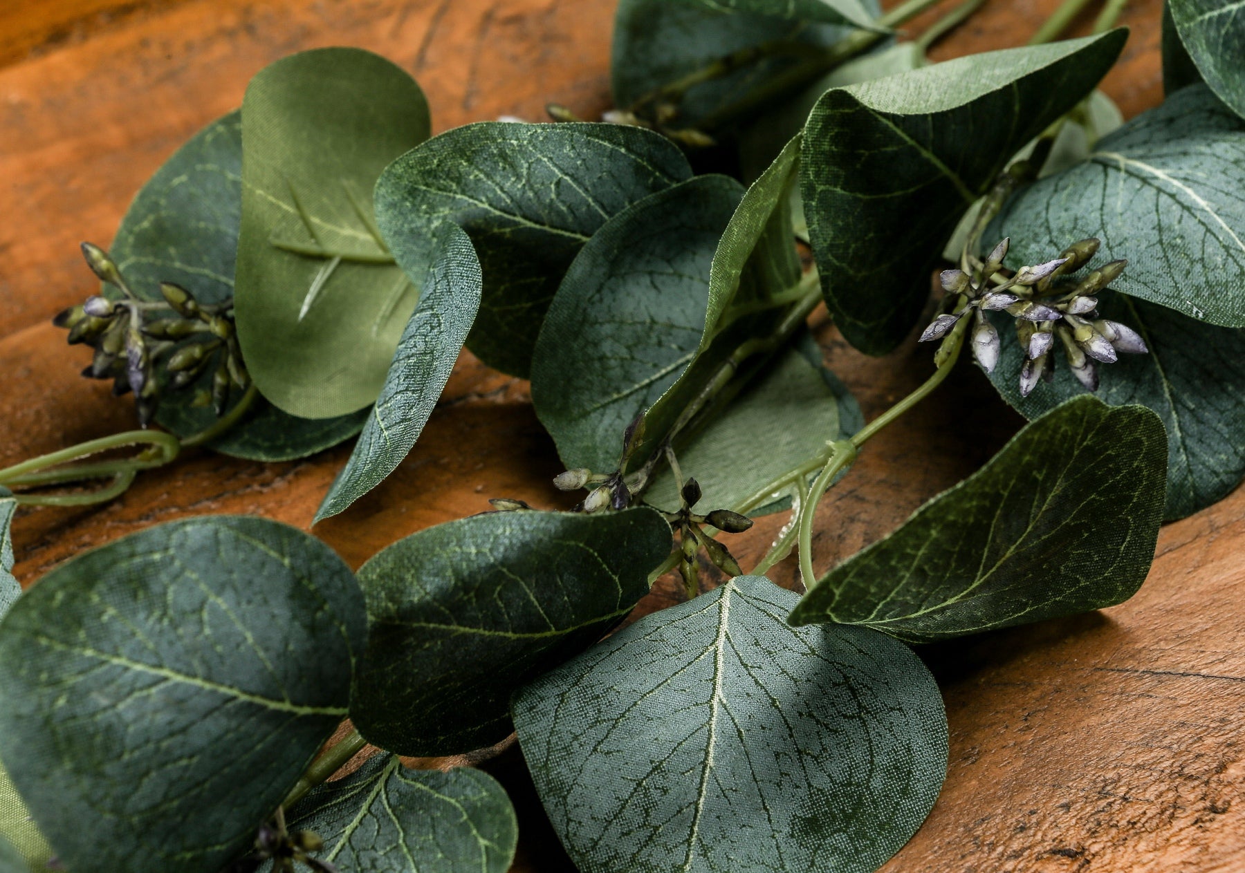 Eucalyptus Stem Spray image 3