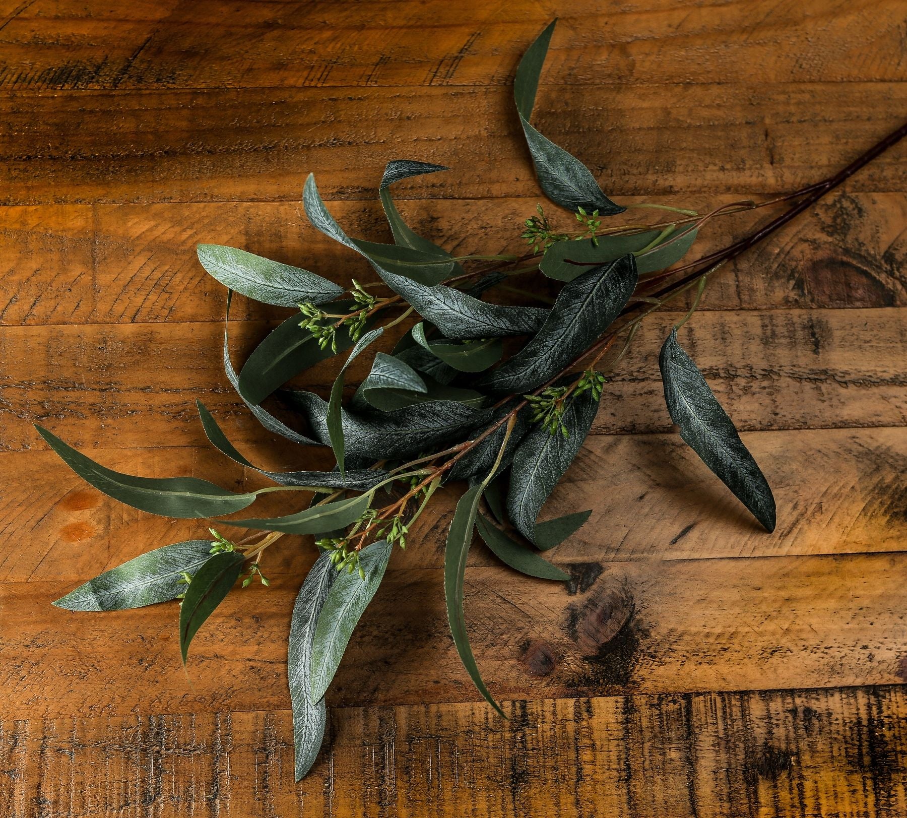Seeded Eucalyptus Spray image 1