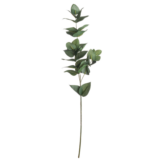 Eucalyptus Filler image 0