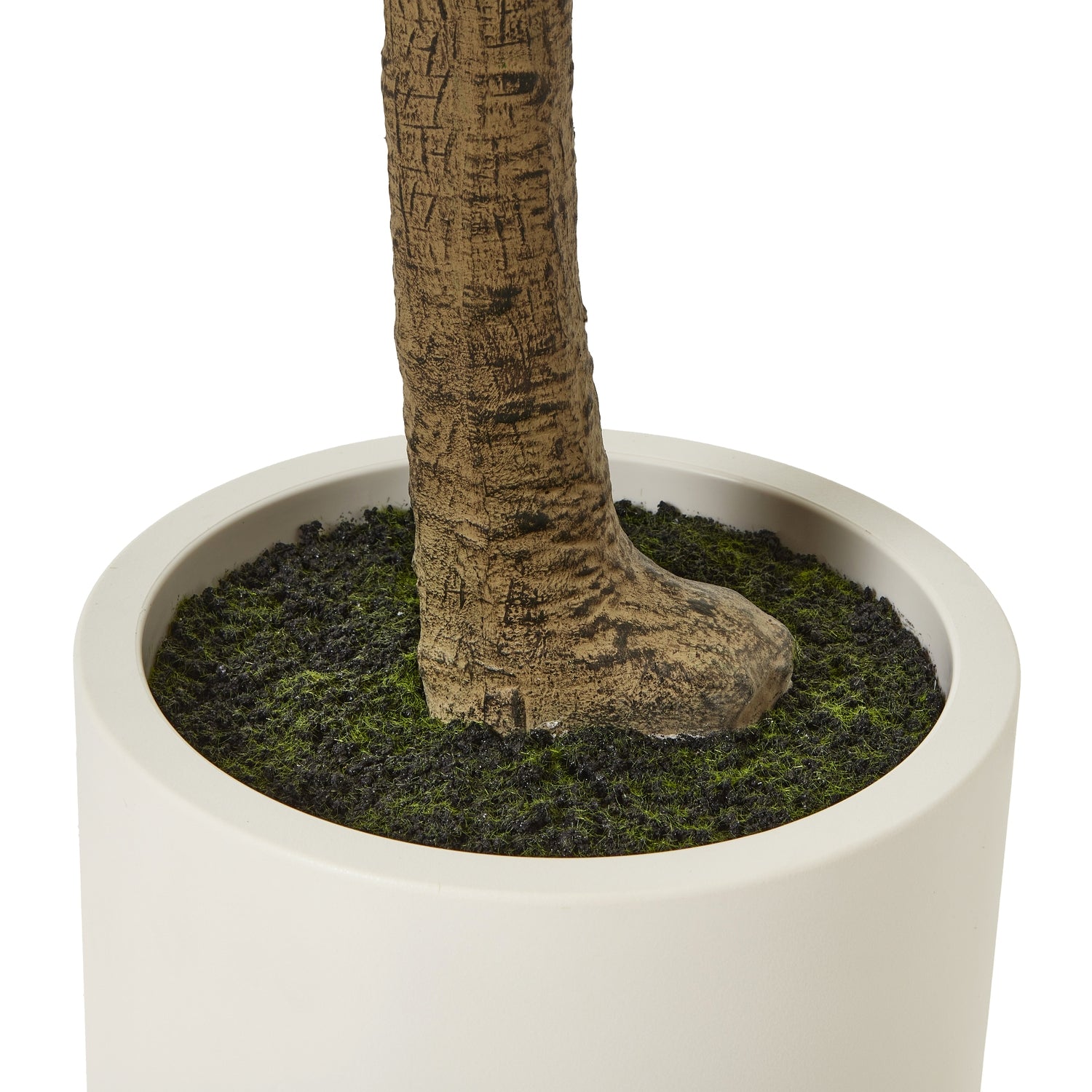 Apulia Olive Tree In White Pot 240Cm image 3