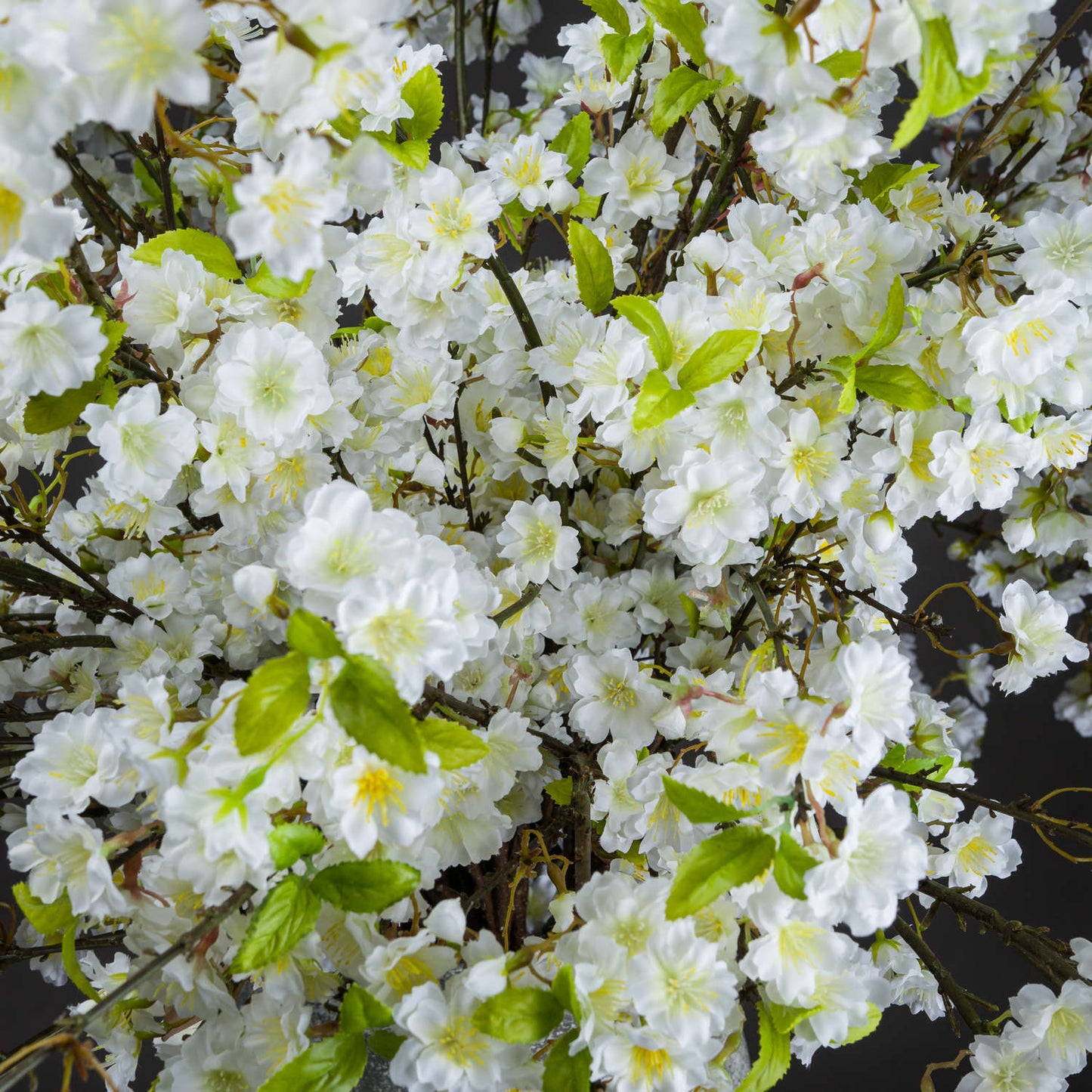 White Cherry Blossom Spray image 1