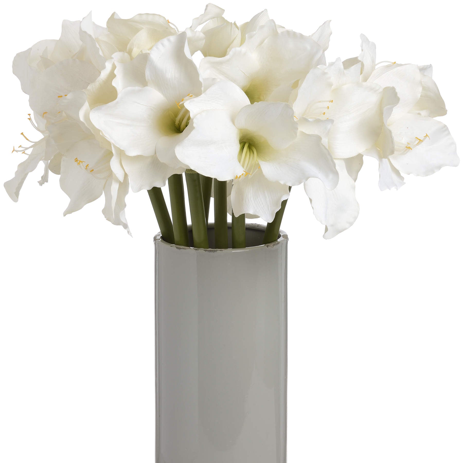 Classic White Amaryllis Flower image 2