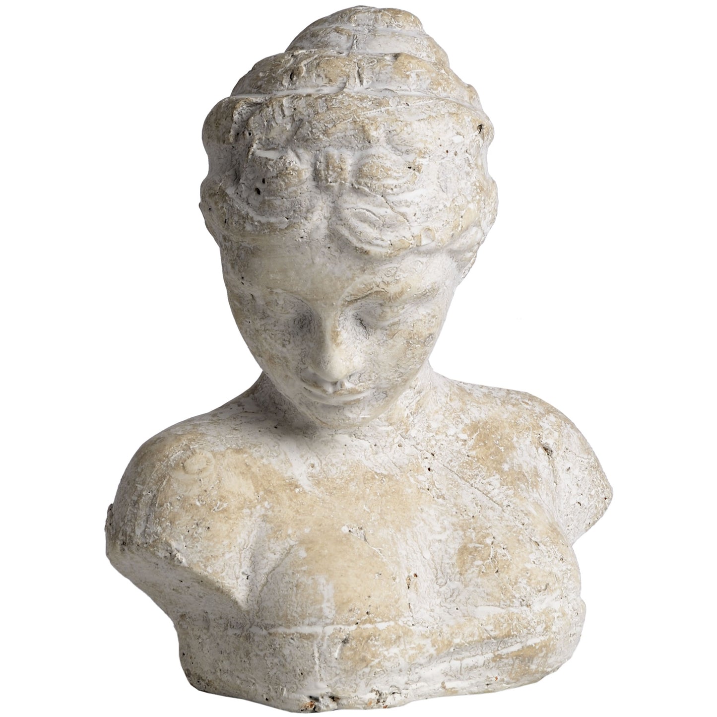 Woman's Head Icon image 0