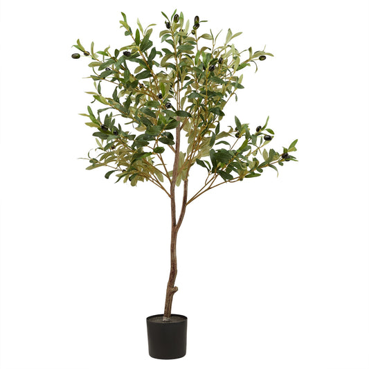 Calabria Small Olive Tree image 0
