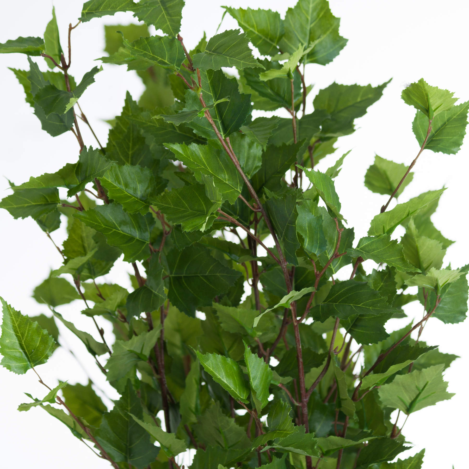 Green Branch Spray image 4