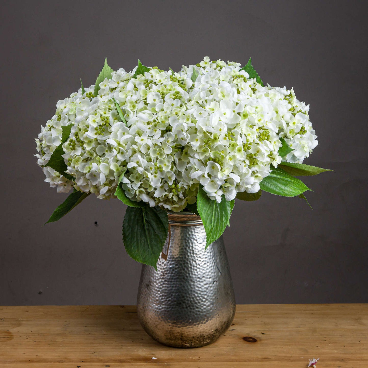 White Lace Cap Hydrangea image 0