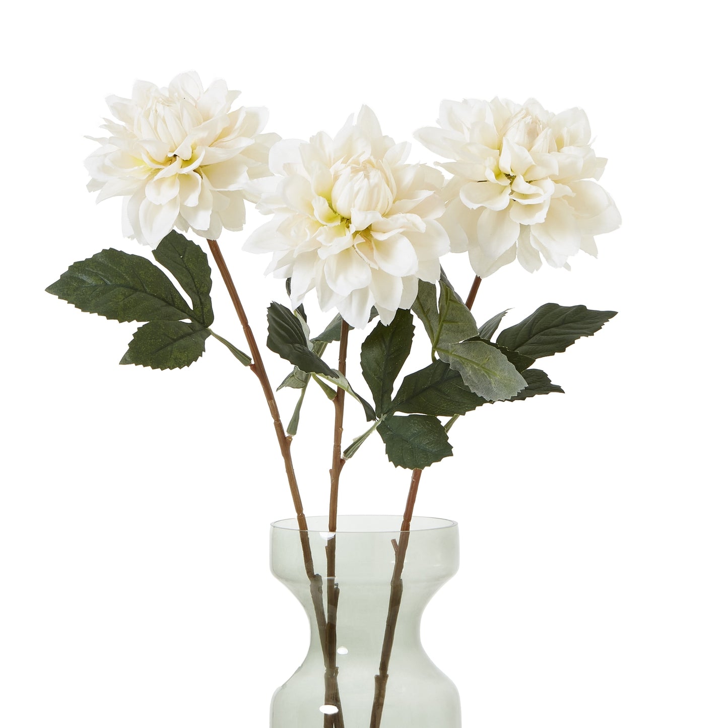 The Natural Garden Collection Tall White Dahlia image 2