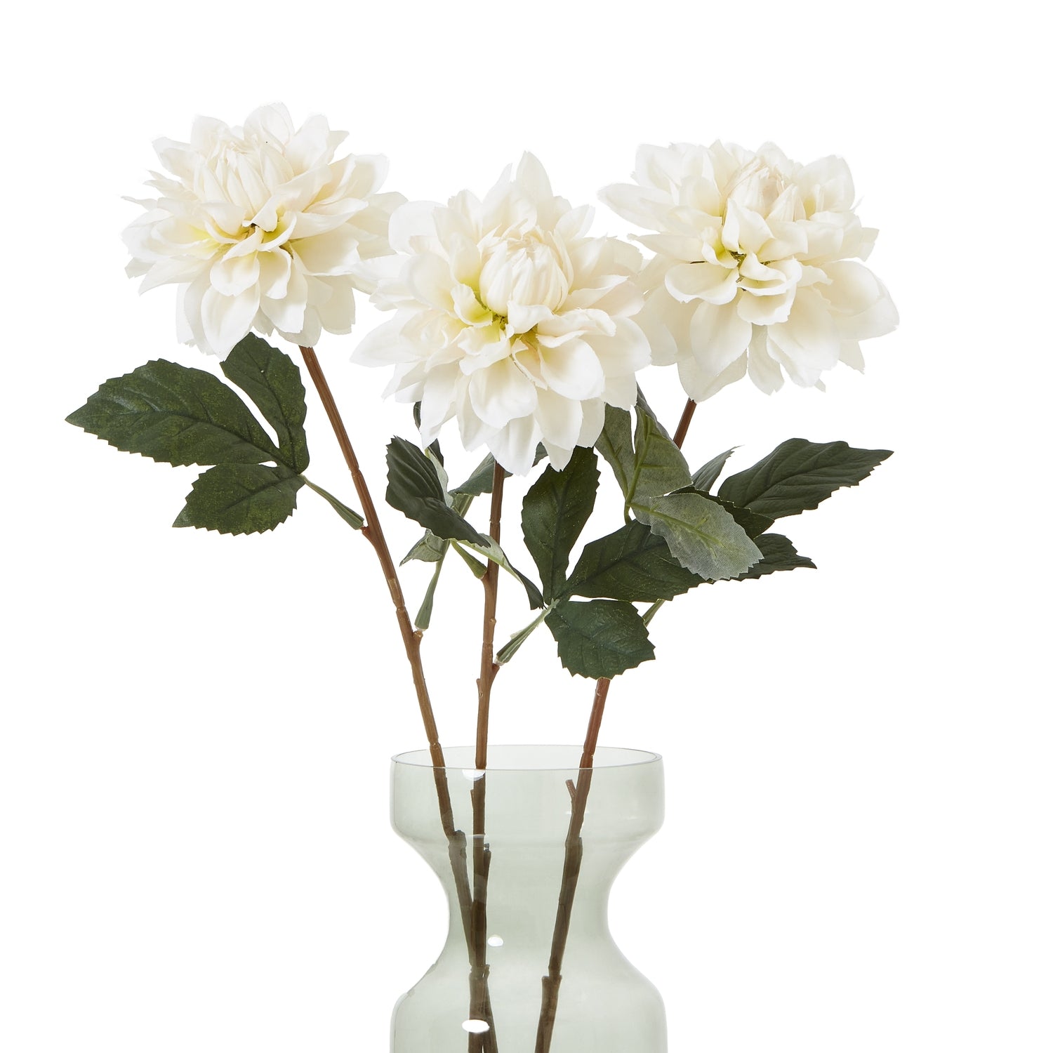 The Natural Garden Collection Tall White Dahlia image 2
