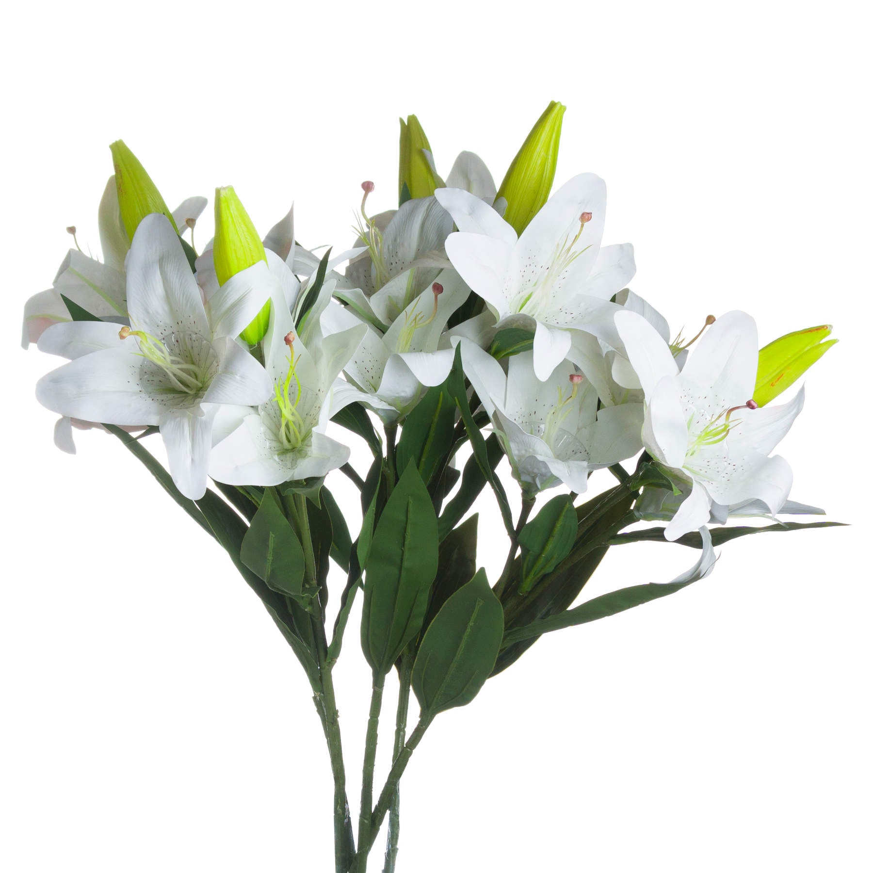 White Lily image 2