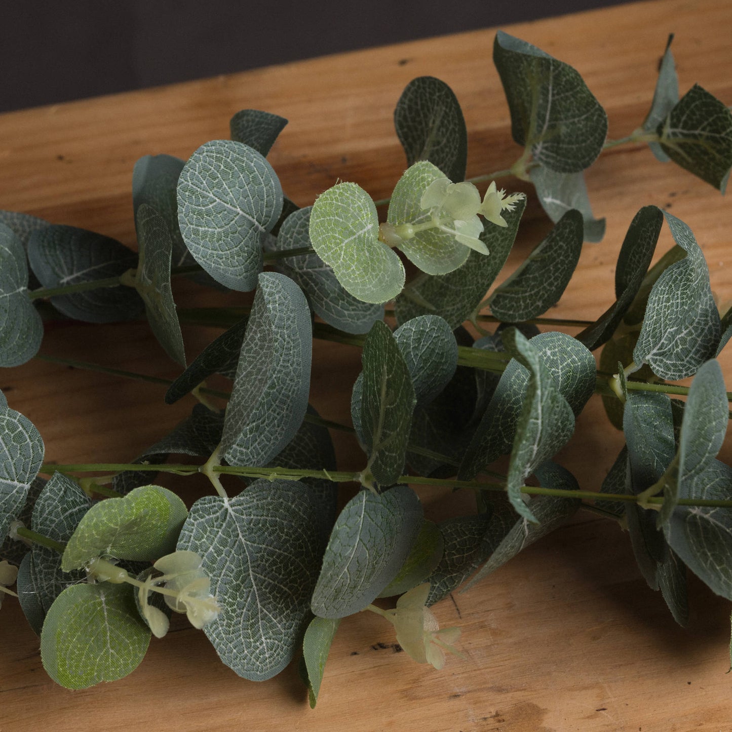 Eucalyptus Spray image 2