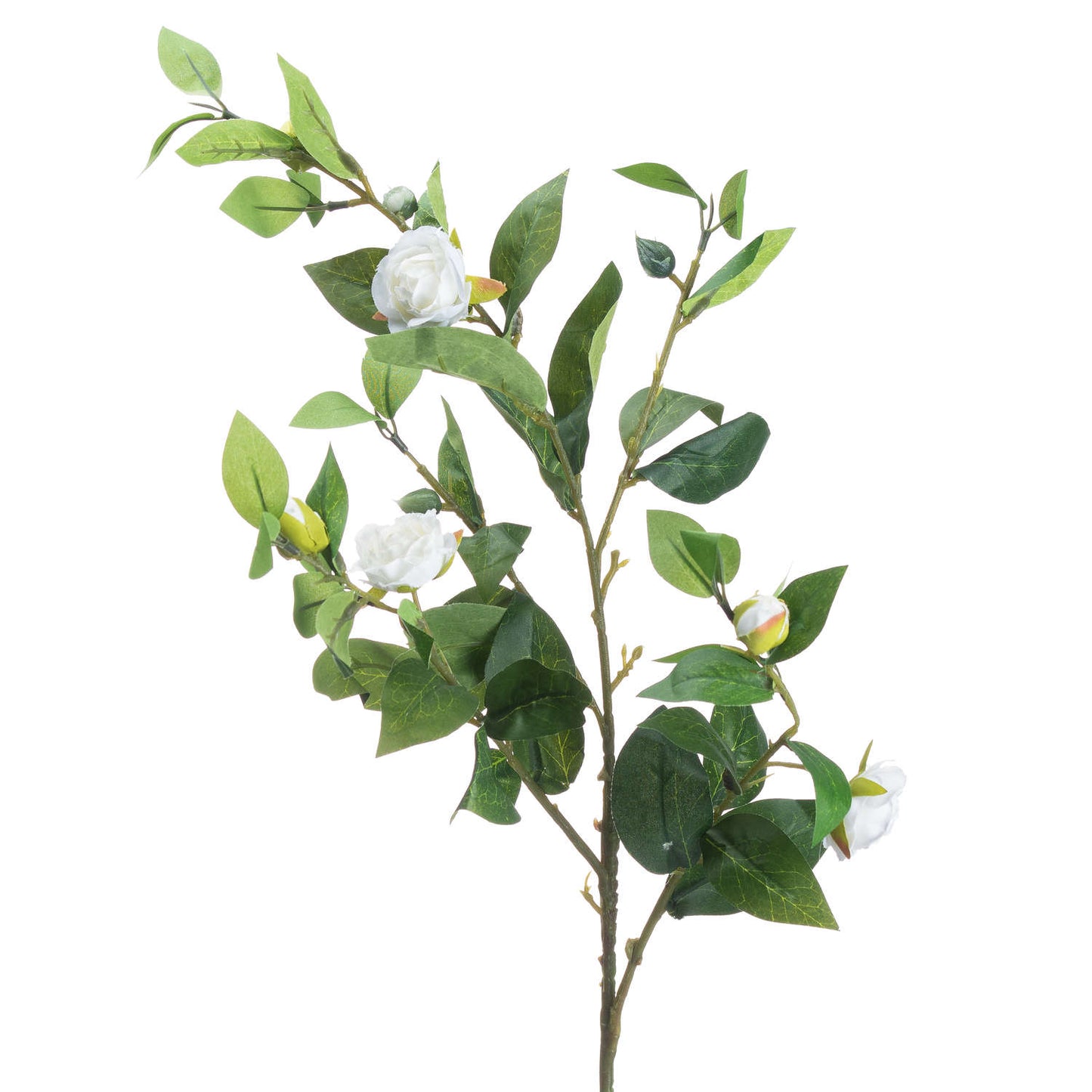 Cream Gardenia Stem image 2