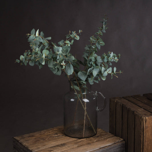 Variegated Eucalyptus image 0