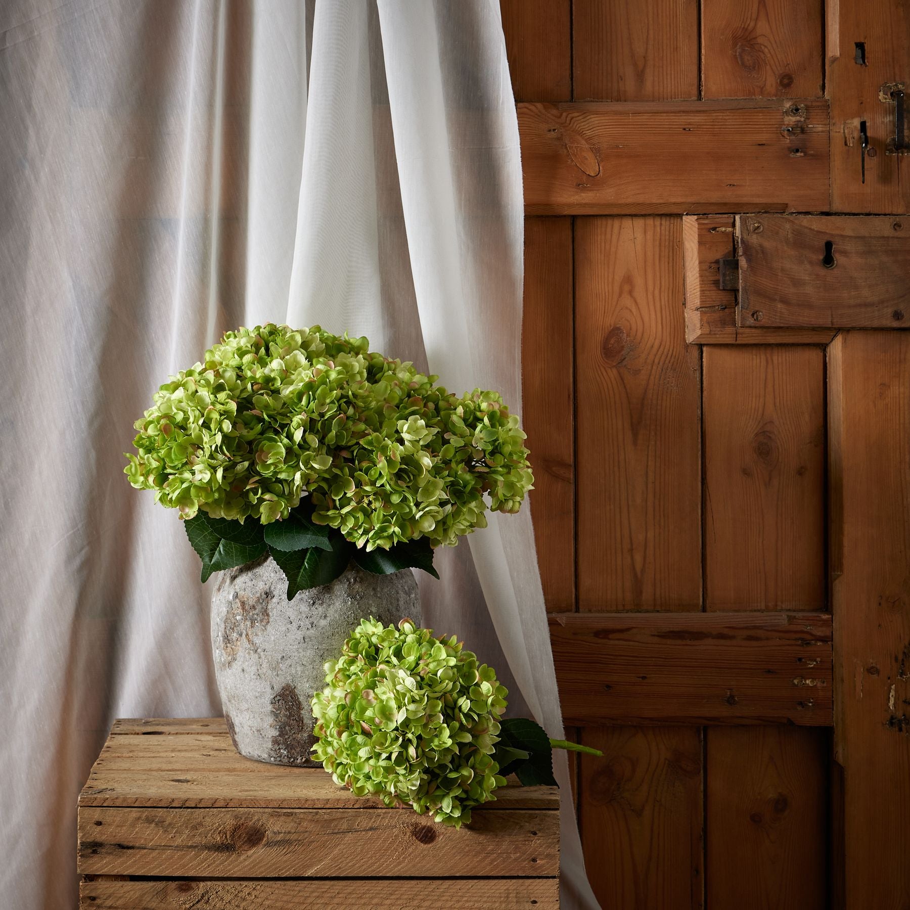 Green Hydrangea Bunch image 2