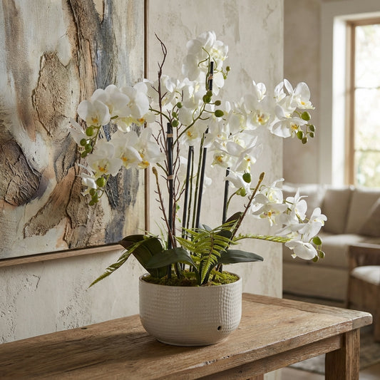 Large White Orchid In Ceramic Pot