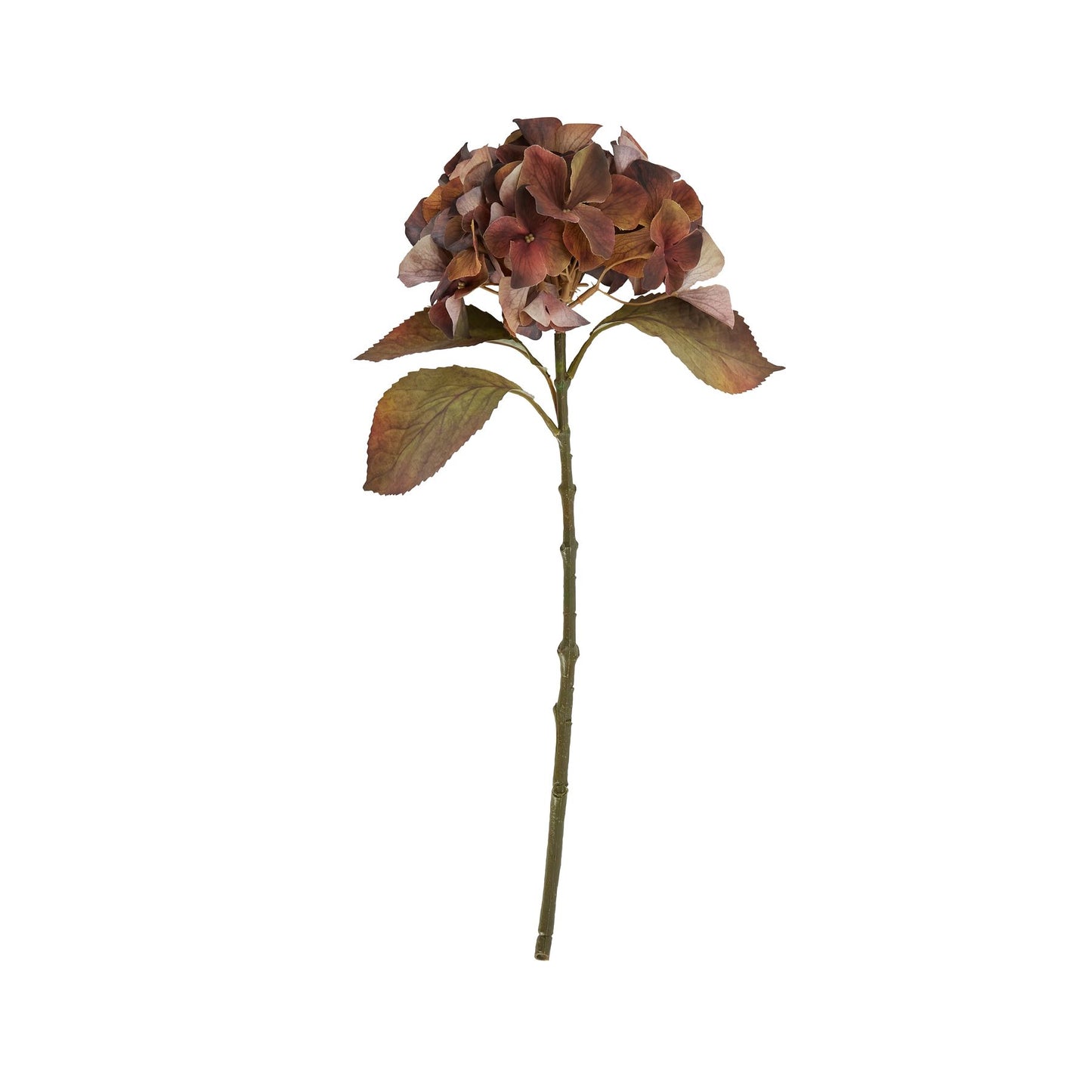 Artificial autumn hydrangea flower stem with brown and green leaves on a white background