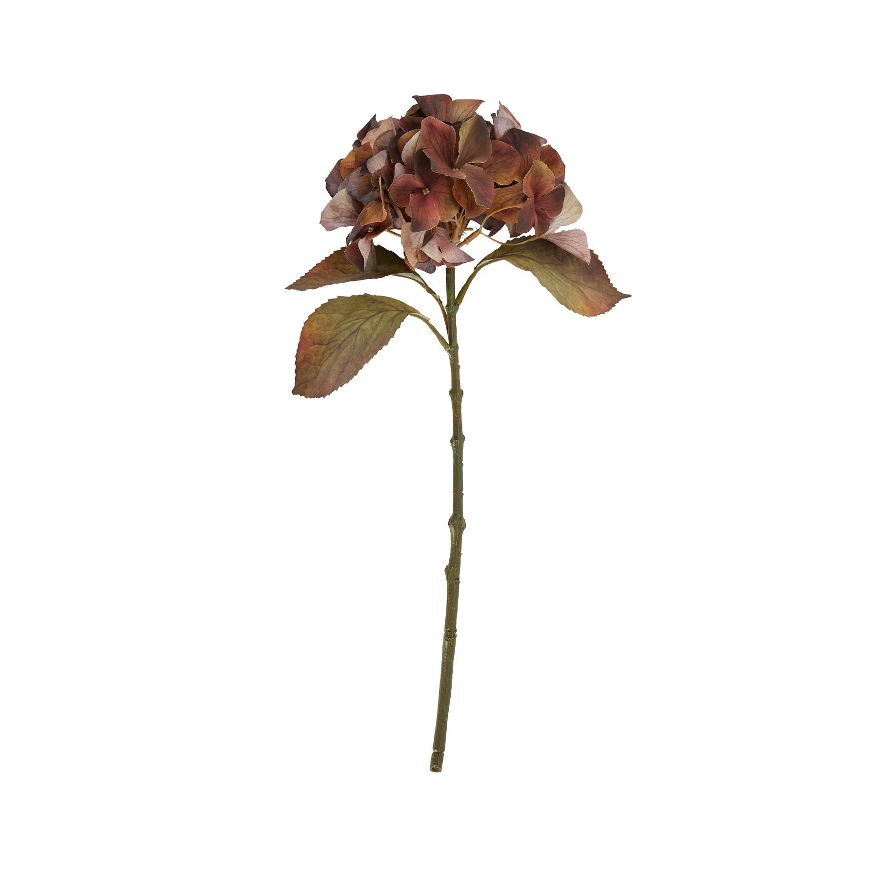 Artificial autumn hydrangea flower stem with brown and green leaves on a white background