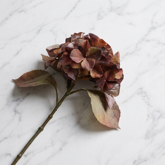 Mixed Autumn Browns Single Hydrangea Stem
