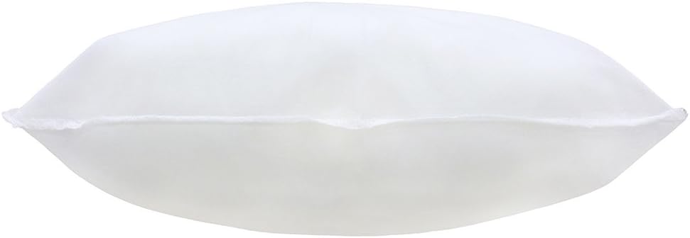 Polyester Cushion Pad/Inner White